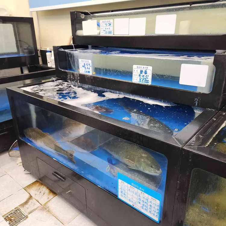 회직판장 대표 사진