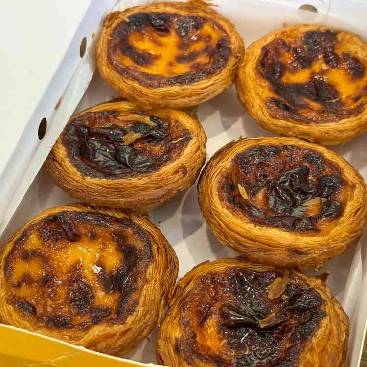 마카오박 사진 2