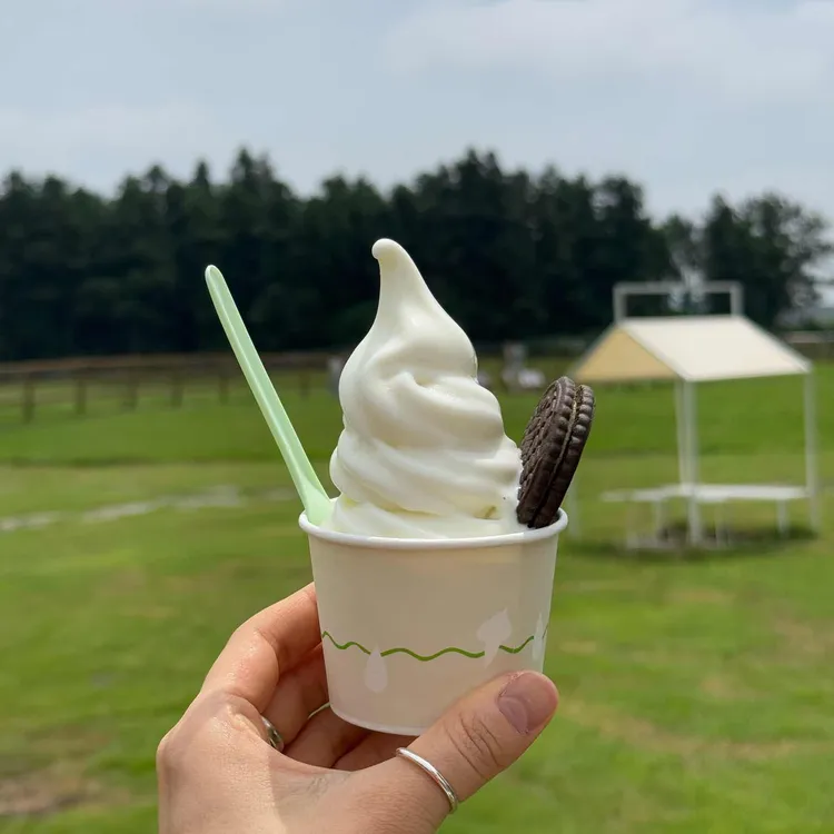 우유부단 사진