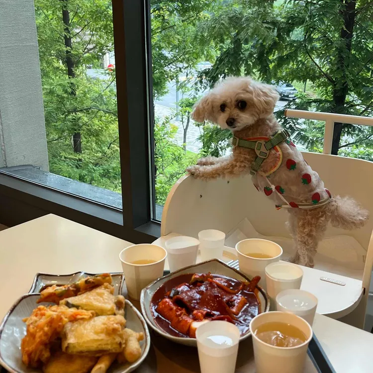 이가네떡볶이 사진 2