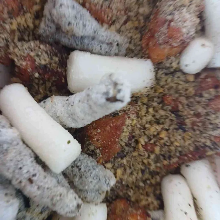 푸라닭 대표 사진