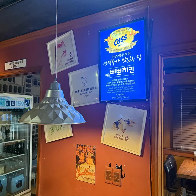 삐뽀 사진 1
