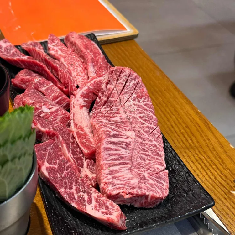 고규 사진 1