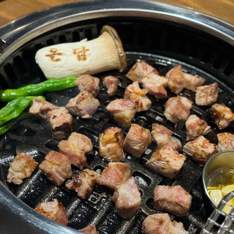 온담 사진 1