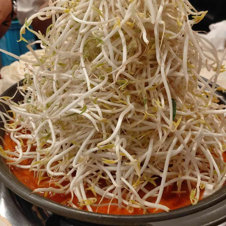 쪼리닭 대표 사진