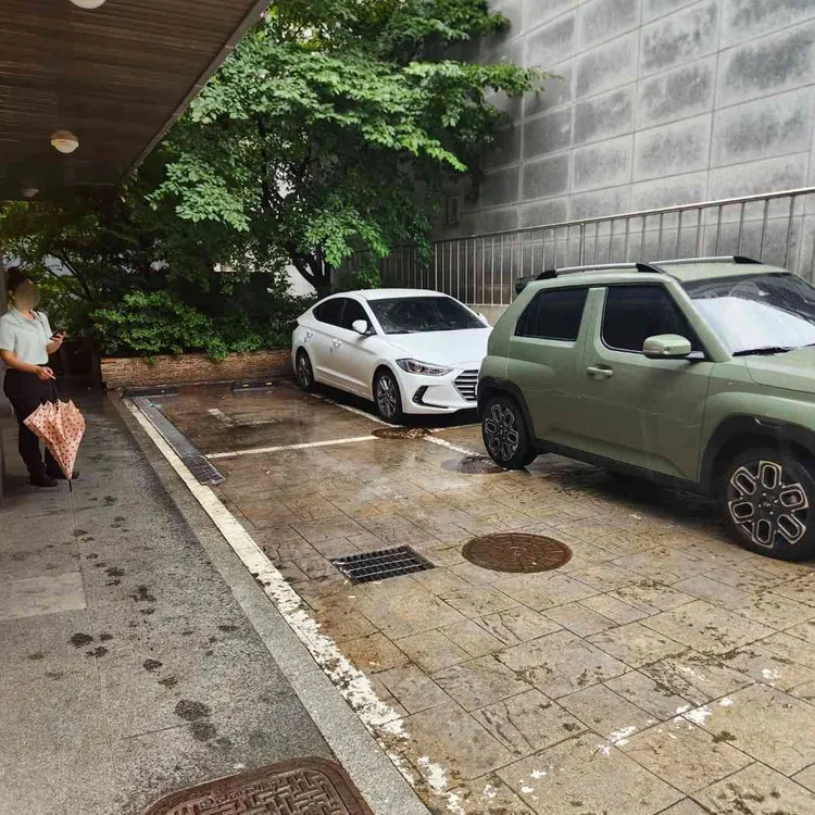 마니달오 대표 사진