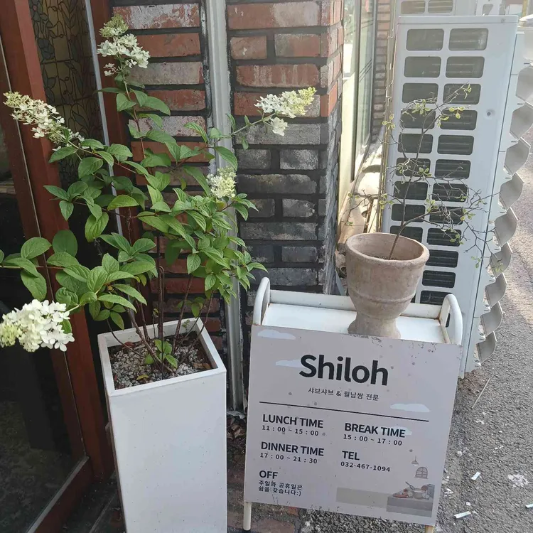 실로 대표 사진