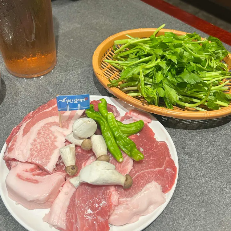 부산갈매기 사진 1