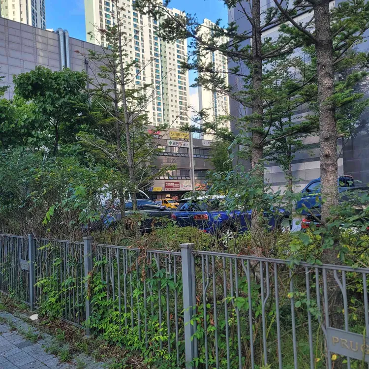 교촌치킨 대표 사진