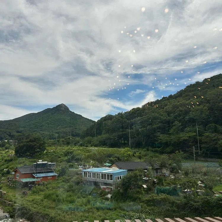 숲404 대표 사진