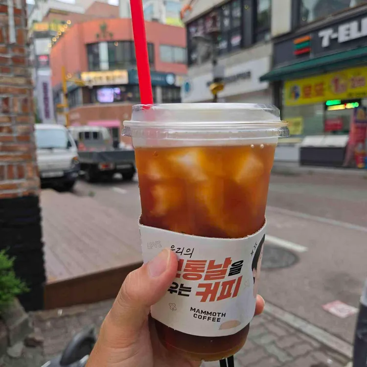 매머드익스프레스 대표 사진