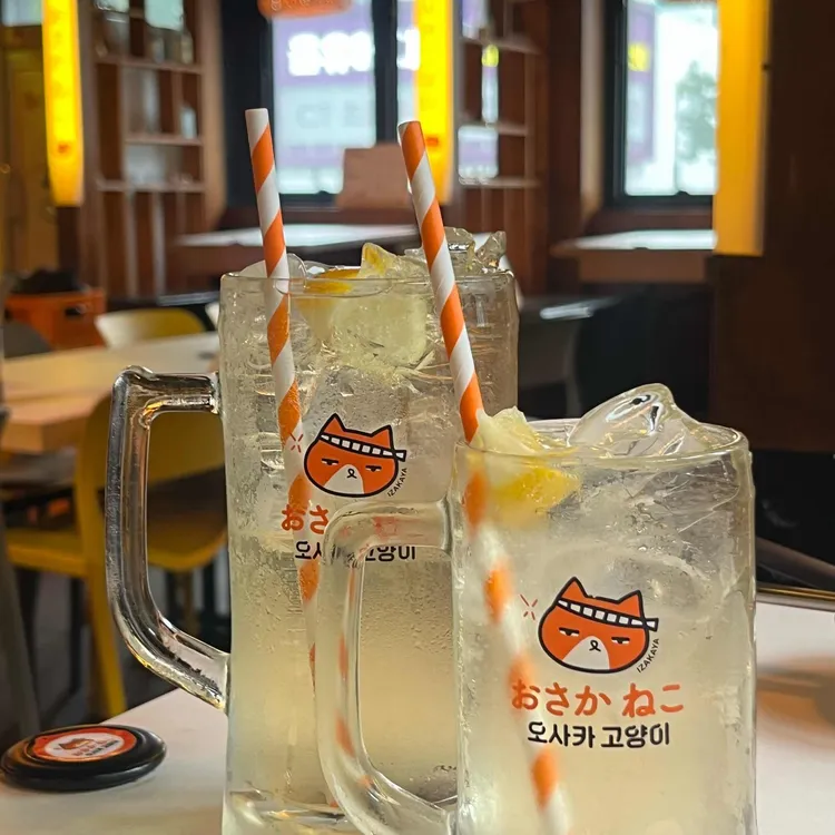 오사카고양이 사진 1