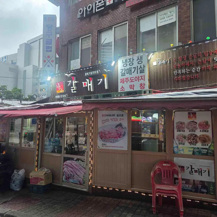 나노갈매기 사진 1