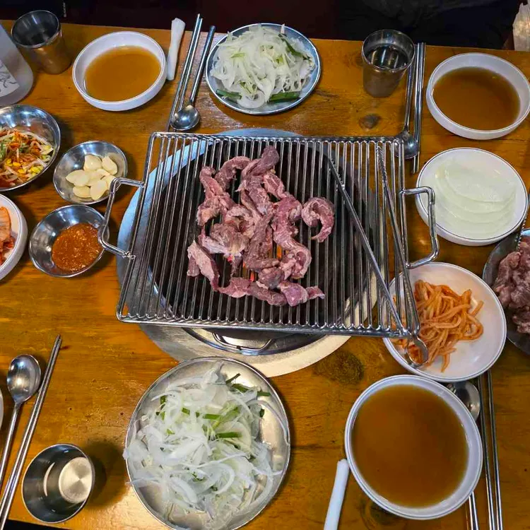 나노갈매기 사진 2