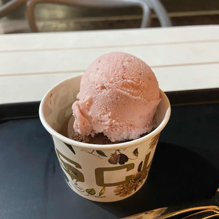 파스쿠찌 에스프레소바 사진 1