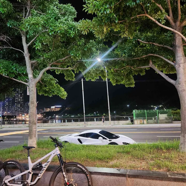알라바마 대표 사진
