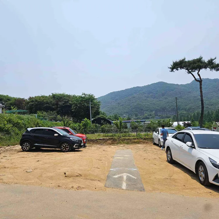 꽃이랑나무랑 대표 사진