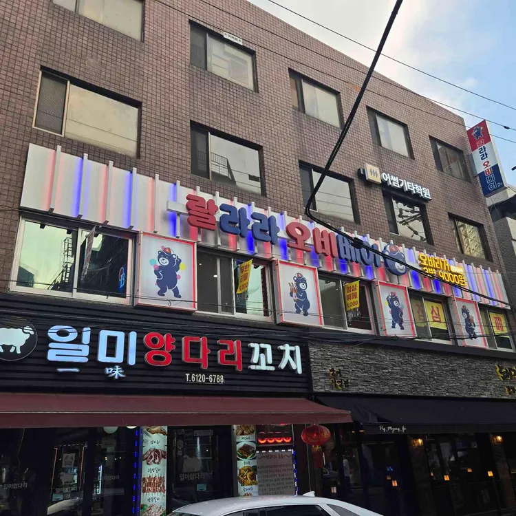 오비베어 대표 사진
