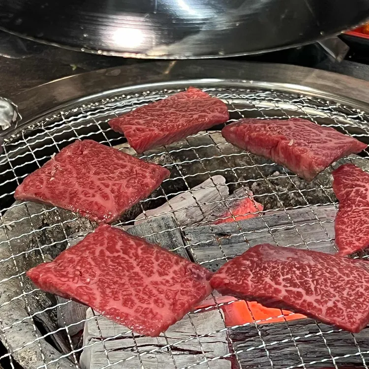 정직한하누 사진 2
