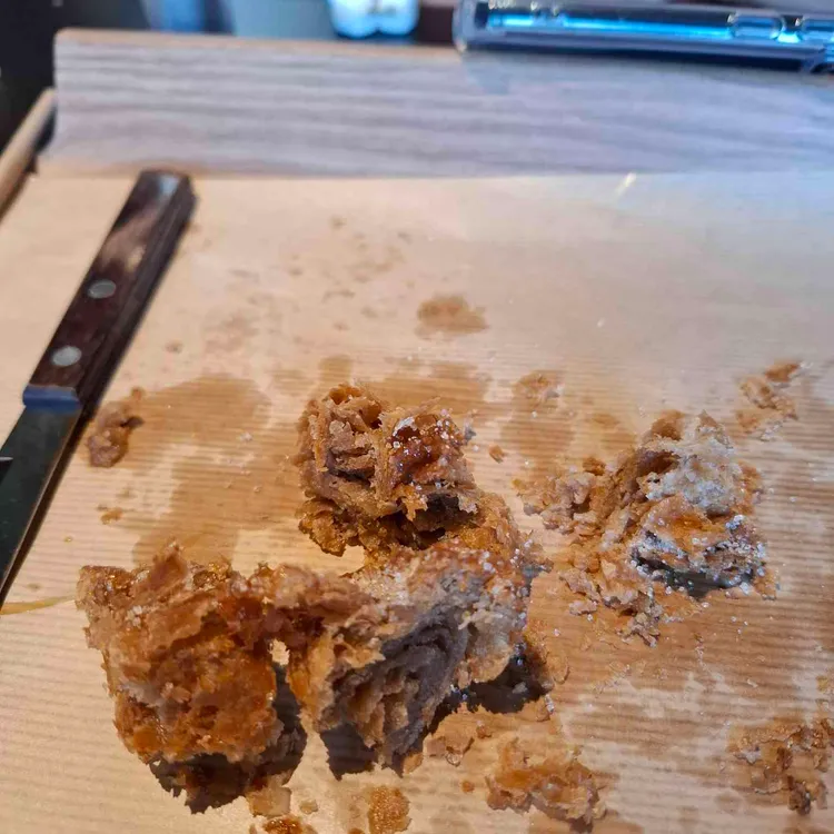 테라로사 사진