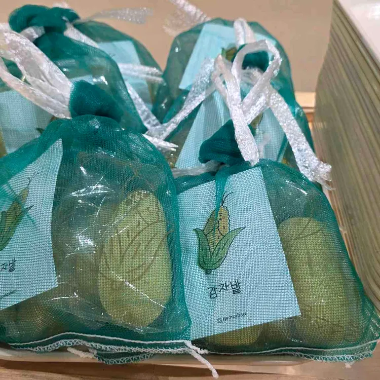 감자밭 대표 사진