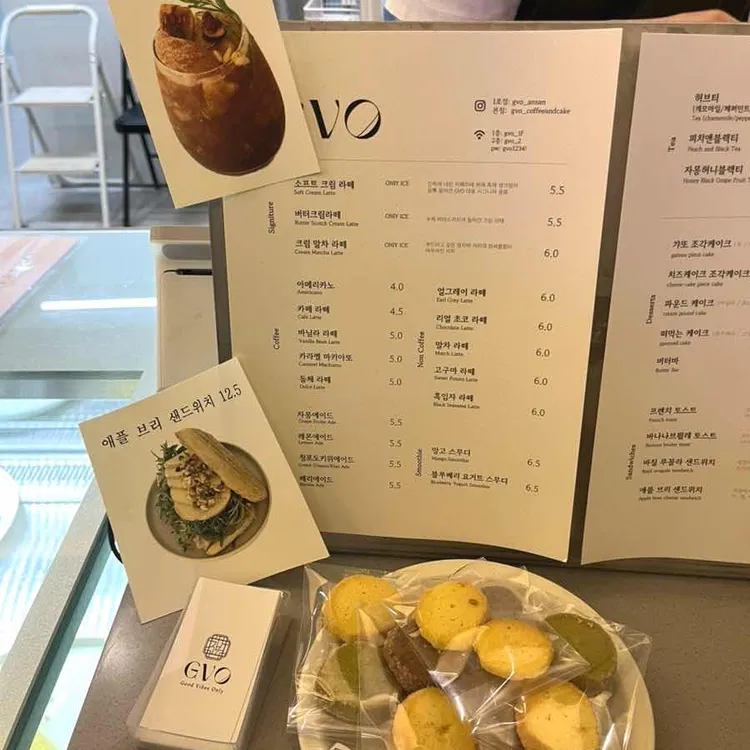GVO 대표 사진