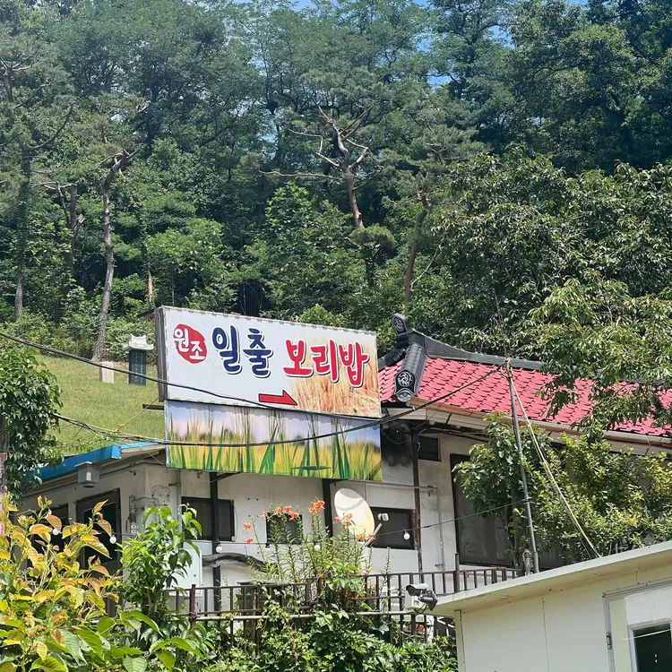 일출보리밥 대표 사진