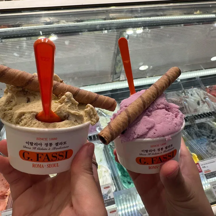 지파시 사진 2