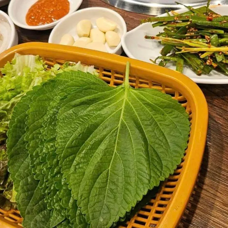 참숯불꼼장어 대표 사진