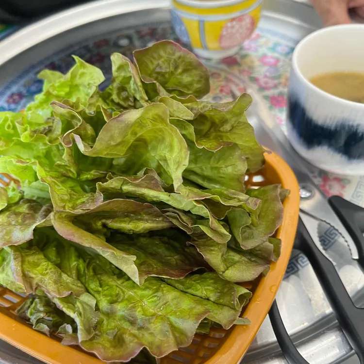 단소 대표 사진