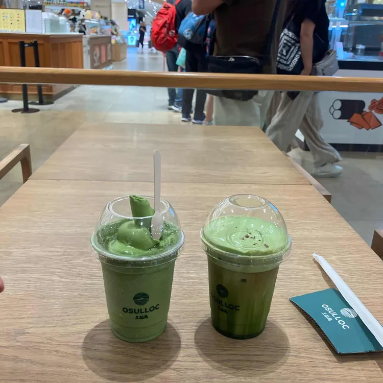 오설록 사진 2