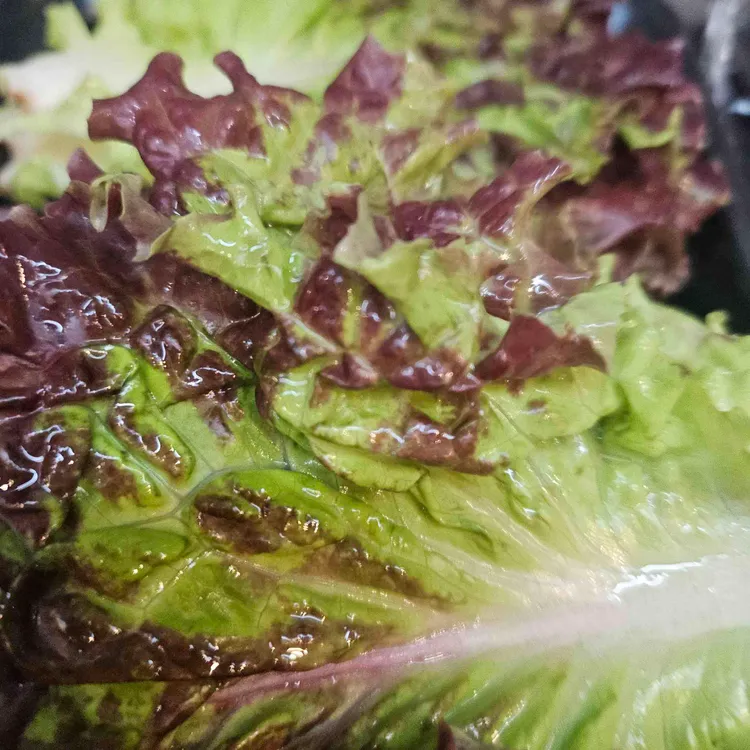 족발구역 대표 사진