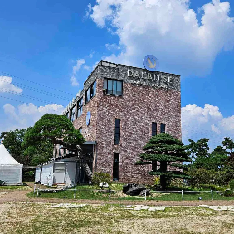 달빛새 대표 사진