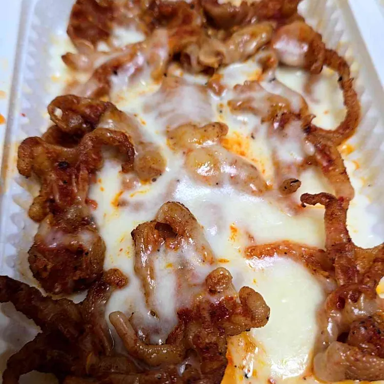 오돌이 대표 사진