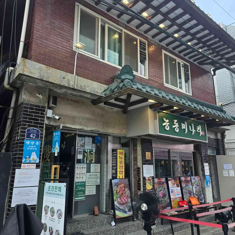 능동미나리 사진