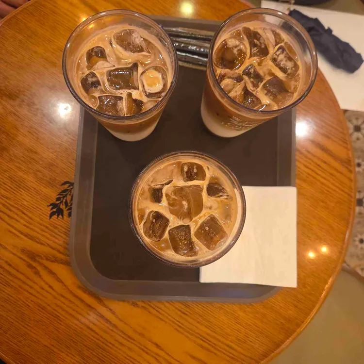 클로리스 티룸 대표 사진