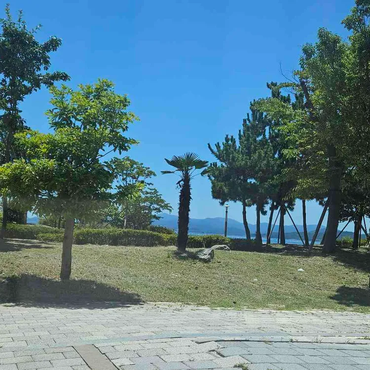 파스쿠찌 대표 사진