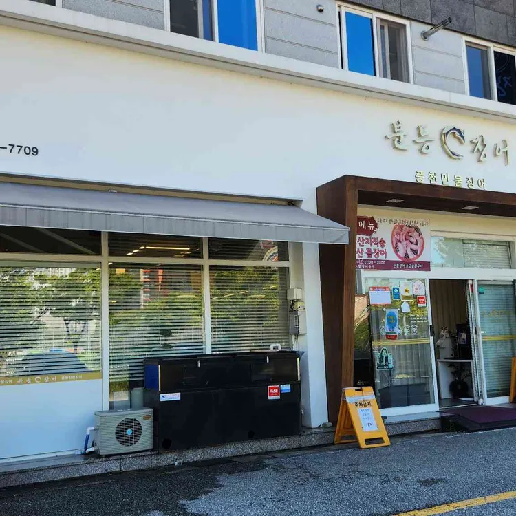 분등장어 사진 2