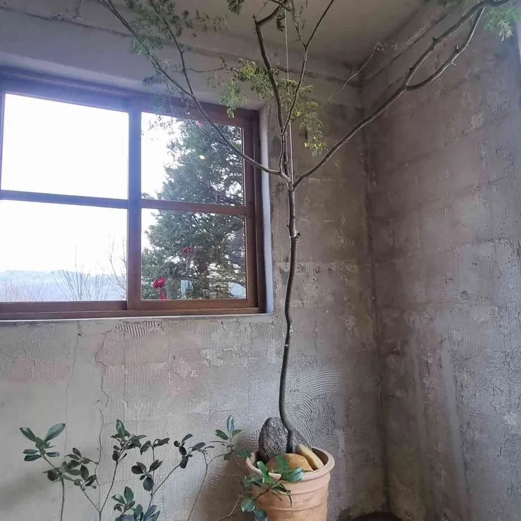 앙떼떼페레 대표 사진