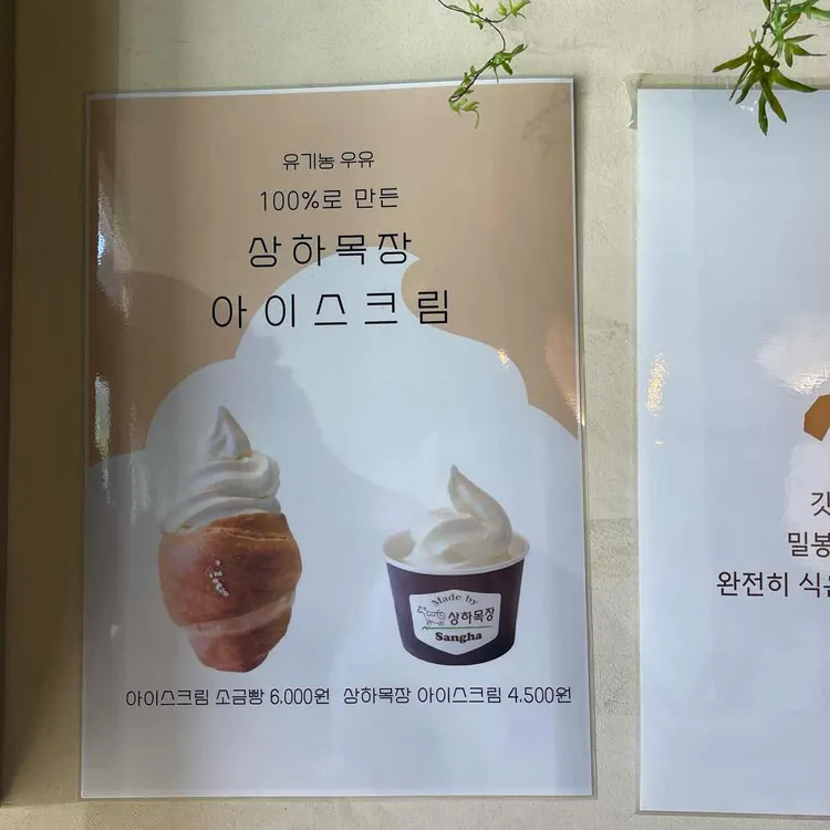 영월소금빵 대표 사진