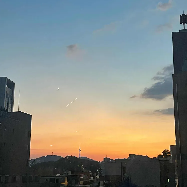 아카이브 서울 대표 사진