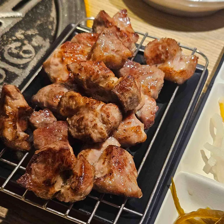 1PIG 사진 2