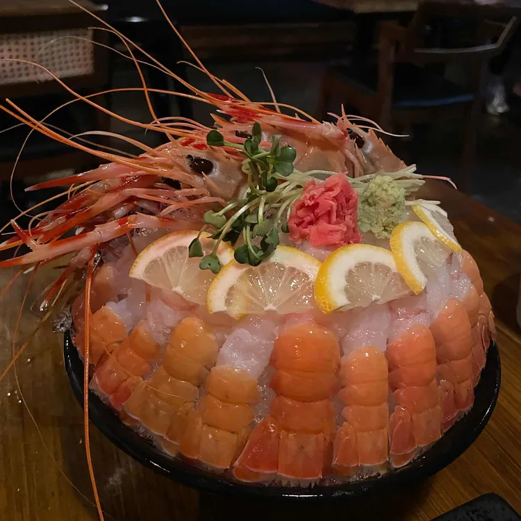 곤조 대표 사진