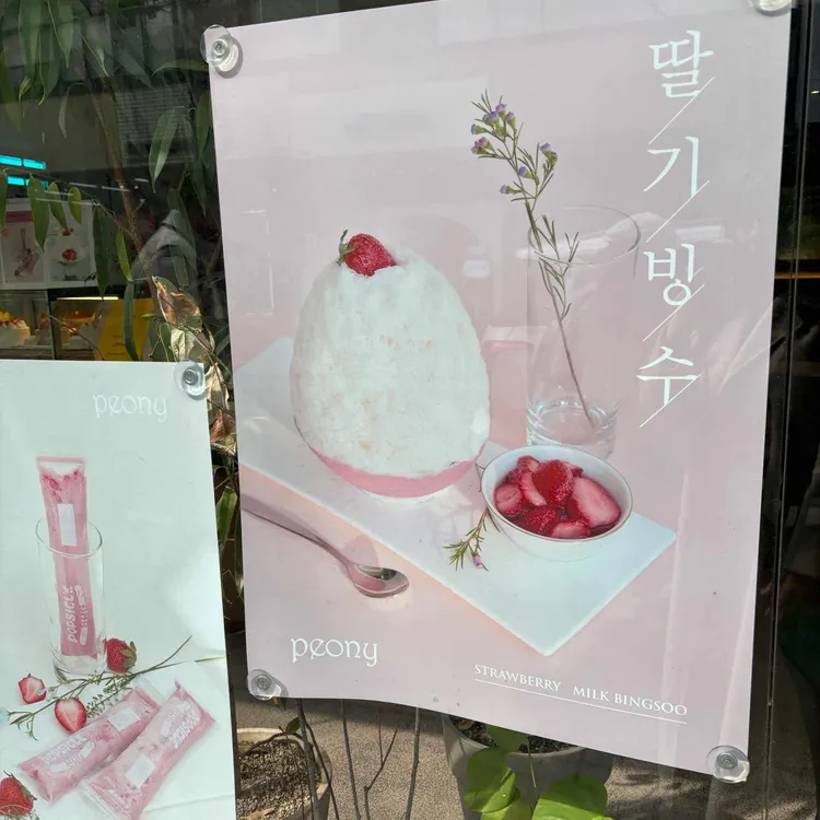 피오니 대표 사진