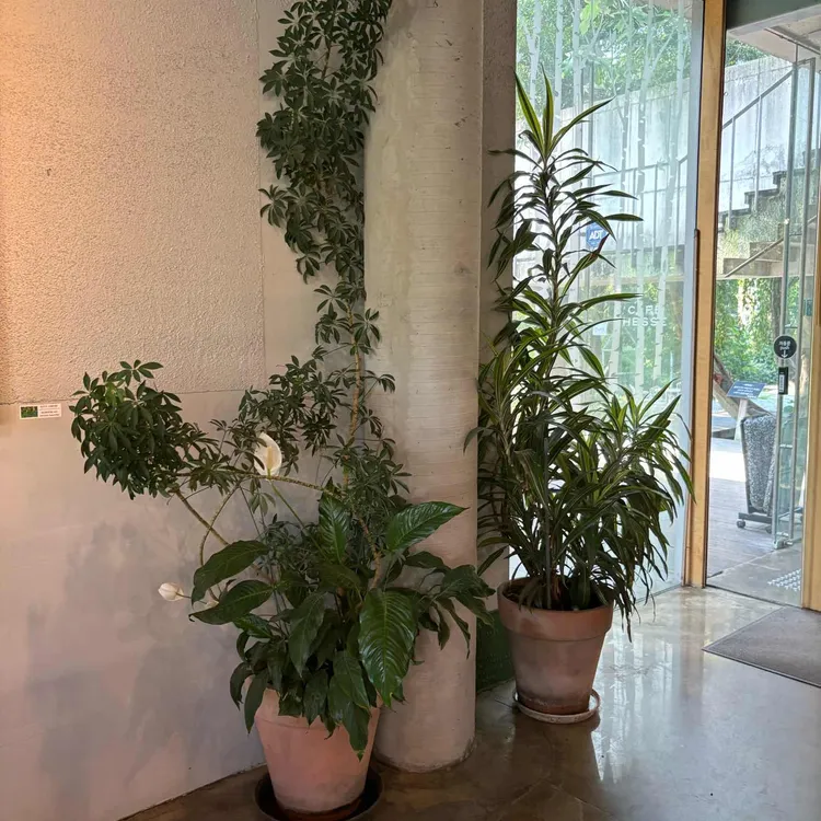 헤세의정원 대표 사진