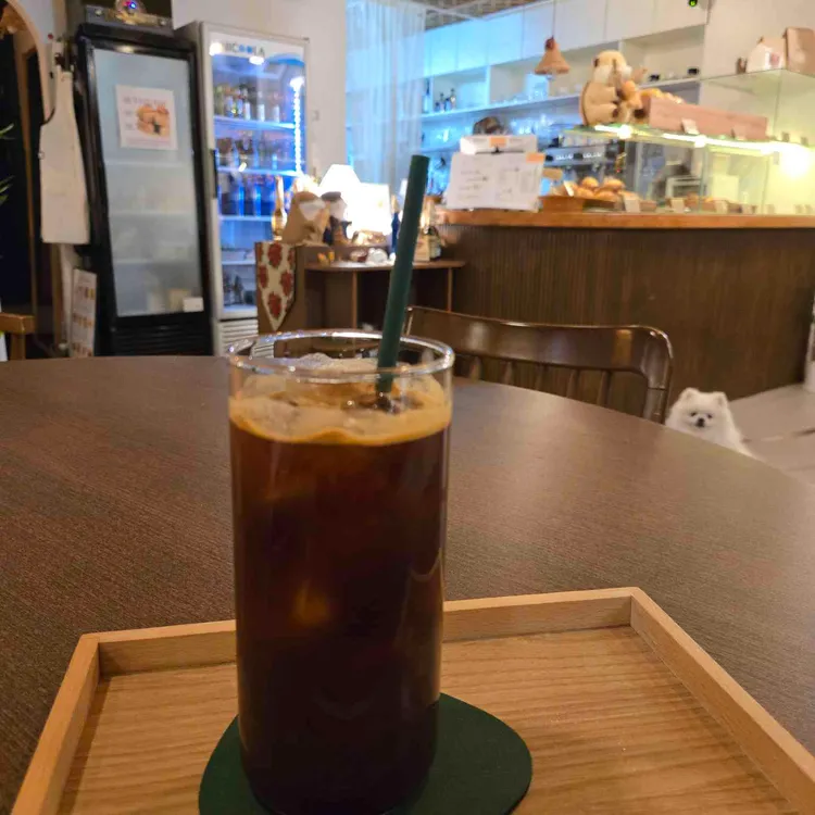 카코포니 사진 1