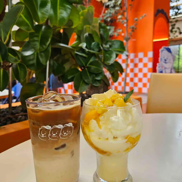 오터스 대표 사진