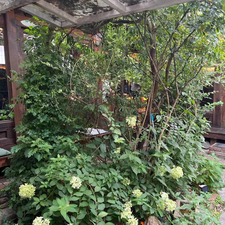 삼원샏 사진 2