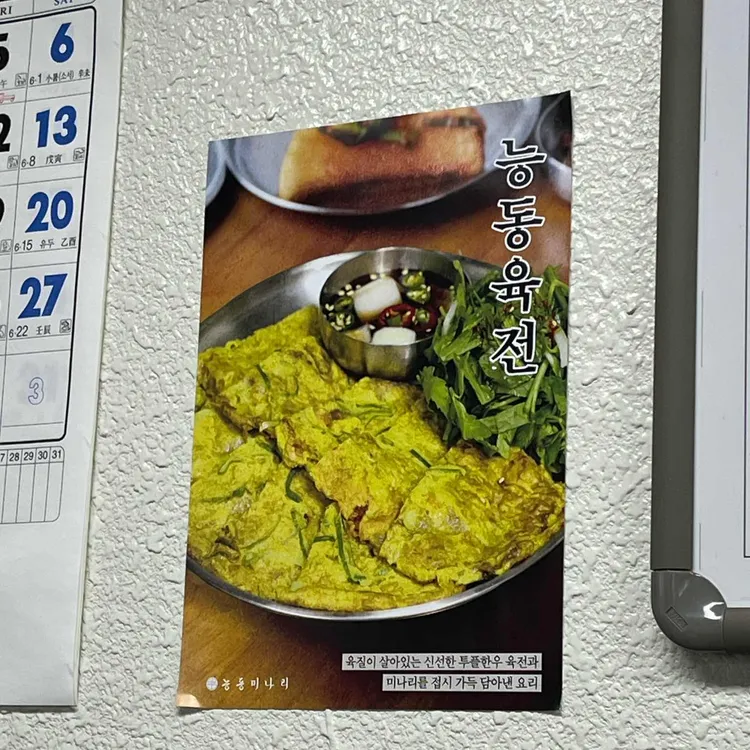 능동미나리 사진 2