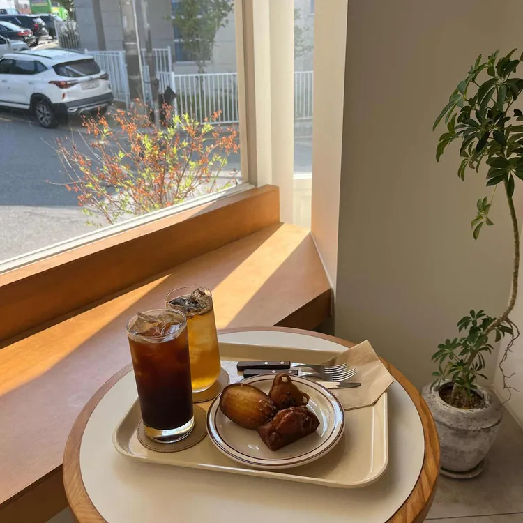 카우시 대표 사진